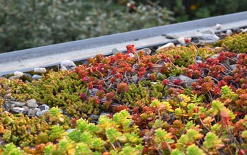 the cost of Brynllywarch green roof installation