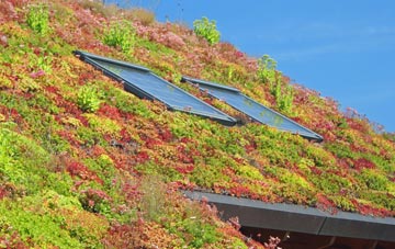 Brynllywarch living roof systems