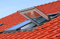 Brynllywarch roof window